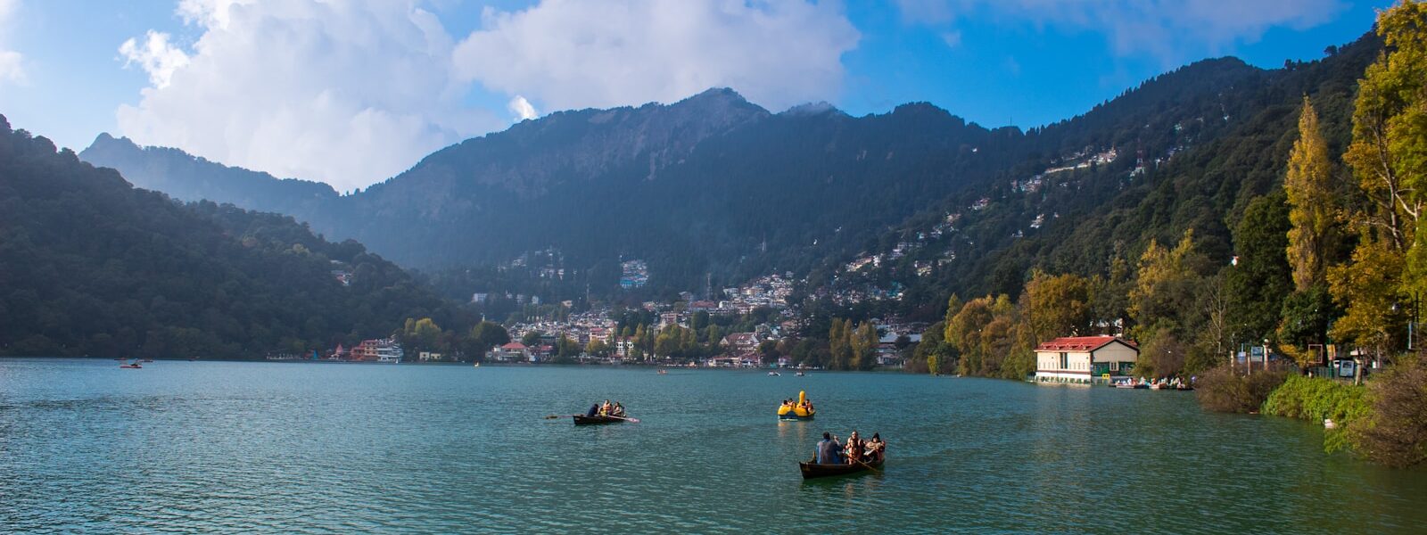 a group of people rowing boats